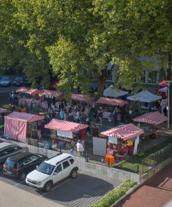 Mitmachfest GemeinSinnschafftGarten
