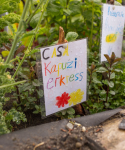 Mitmachfest am Gemeinschaftsgarten im Kulturhof Bottrop.