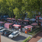Mitmachfest GemeinSinnschafftGarten