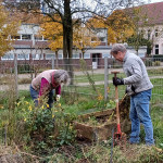 Gemeinschaftsgarten Beckedal im Winter