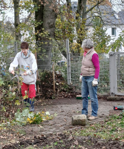 Gemeinschaftsgarten Beckedal im Winter